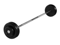 Штанга неразборная &quot;Barbell&quot; с чёрными дисками d 25 мм, 27,5 кг
