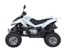 Квадроцикл SYM QuadRaider 300 SD, фото 2
