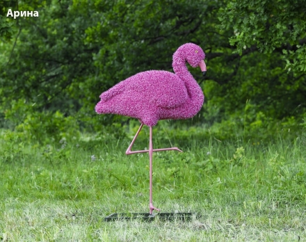 Топиари фламинго, Бриджит - газон Eco, фото 5