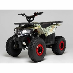 Квадроцикл WELS ATV Thunder E2 X