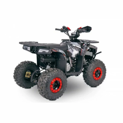 Квадроцикл YACOTA SIRIUS 125, фото 13