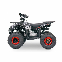 Квадроцикл YACOTA SIRIUS 125, фото 10