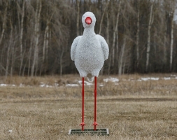 Топиари аист, задумался - газон Eco, фото 3