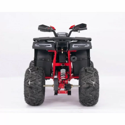 Квадроцикл YACOTA SIRIUS 125 LD, фото 4