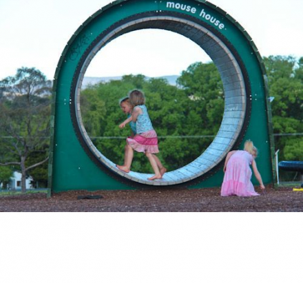 Уличная беговая дорожка Мышиный дом, фото 1