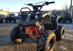 Квадроцикл RAPTOR 8, фото 4 Квадроцикл RAPTOR 8, фото 4