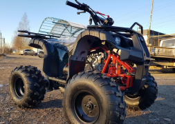 Квадроцикл RAPTOR 8, фото 3 Квадроцикл RAPTOR 8, фото 3