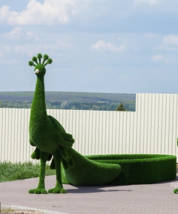 Топиари &quot;Павлин клумба&quot;, фото 1