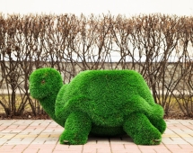 Топиари Черепаха с кашпо Бринхилда - газон Deluxe