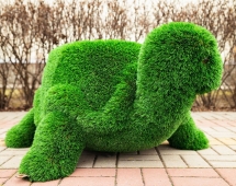 Топиари Черепаха с кашпо Бринхилда - газон Deluxe