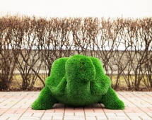 Топиари Черепаха с кашпо Бринхилда - газон Deluxe