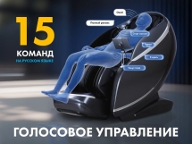 Массажное кресло FUJIMO 氣 GURU2 F800 Коричневый