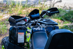 Квадроцикл MOTOLAND 200 Wild Track Lux ( Баланс. вал) (2021 Г.), фото 13