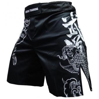 Шорты Hardcore Training hctshorts032, фото 1