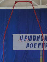 Рама с кольцами гимнастическими
