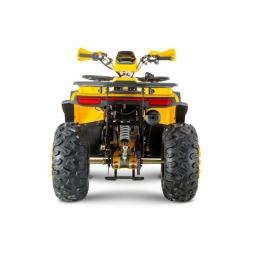 Квадроцикл WELS ATV Thunder Trail 200, фото 5