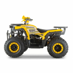Квадроцикл WELS ATV Thunder Trail 200, фото 3