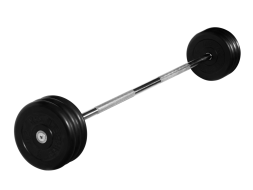 Штанга неразборная &quot;Barbell&quot; с чёрными дисками d 25 мм, 35 кг