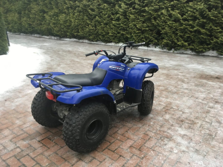 Квадроцикл GRIZZLY 125, фото 8