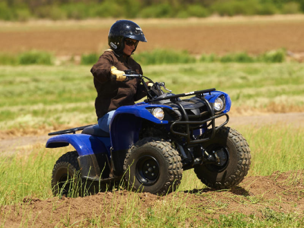 Квадроцикл GRIZZLY 125, фото 7