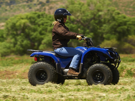 Квадроцикл GRIZZLY 125, фото 5