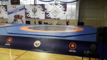 Покрытие для ковра борцовского 8х8 м ОДНОЦВЕТНОЕ СТП-111