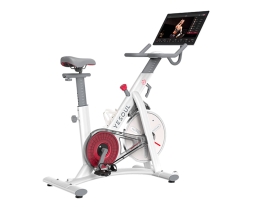 Велотренажер Yesoul BS3-W PRO PLUS, фото 1