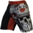 Шорты Hardcore Training hctshorts026