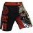 Шорты Hardcore Training hctshorts026