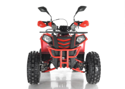 Квадроцикл WELS Thunder EVO X, фото 6