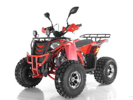 Квадроцикл WELS Thunder EVO X, фото 1