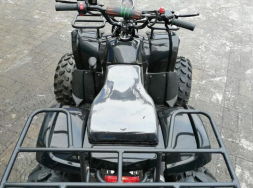 Квадроцикл RAPTOR Max Pro 150, фото 6 Квадроцикл RAPTOR Max Pro 150, фото 6
