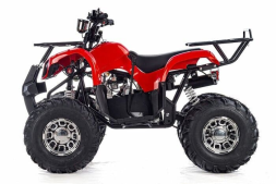 Квадроцикл RAPTOR Max Pro 150, фото 2 Квадроцикл RAPTOR Max Pro 150, фото 2