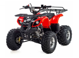 Квадроцикл RAPTOR Max Pro 150, фото 1 Квадроцикл RAPTOR Max Pro 150, фото 1