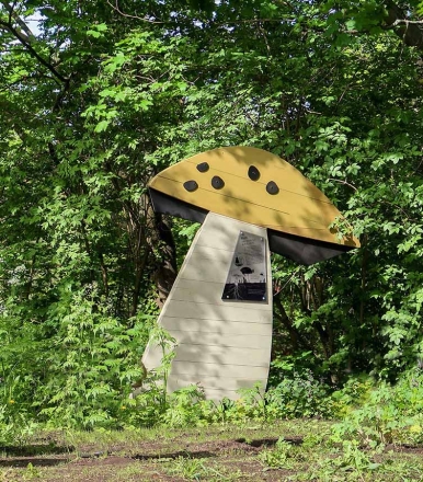 Природные парки: Грибы, фото 1