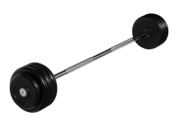 Штанга неразборная &quot;Barbell&quot; с чёрными дисками d 25 мм, 40 кг