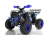 Квадроцикл WELS Thunder EVO