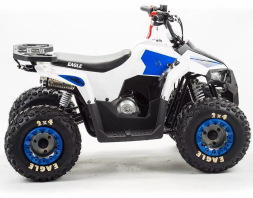 Квадроцикл MZ Eagle 110, фото 4