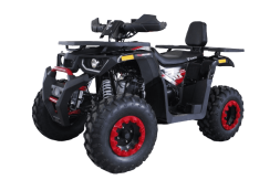 Квадроцикл HUNTER 250, фото 1