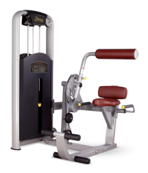 BRONZE GYM MV-009_C Разгибание спины