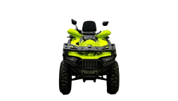 Квадроцикл BISON 330L, фото 6 Квадроцикл BISON 330L, фото 6