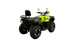 Квадроцикл BISON 330L, фото 5 Квадроцикл BISON 330L, фото 5