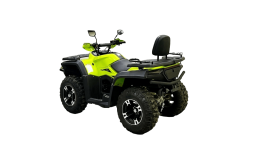 Квадроцикл BISON 330L, фото 4 Квадроцикл BISON 330L, фото 4