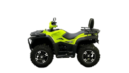 Квадроцикл BISON 330L, фото 3 Квадроцикл BISON 330L, фото 3