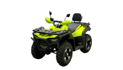 Квадроцикл BISON 330L, фото 1 Квадроцикл BISON 330L, фото 1