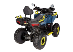 Квадроцикл AVANTIS Ray 200 Premium, фото 4 Квадроцикл AVANTIS Ray 200 Premium, фото 4