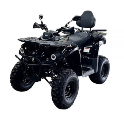 Квадроцикл BISON Forest 200 Lux