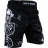 Шорты Hardcore Training hctshorts030