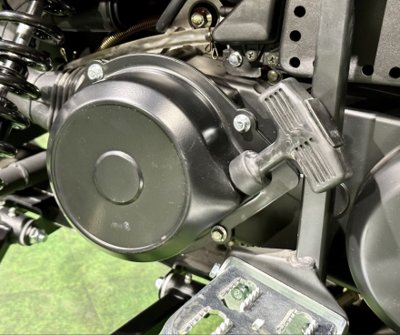 Снегоход MOTOLAND Snowfox 200, фото 10