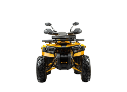 Квадроцикл BISON Track X PRO, фото 2 Квадроцикл BISON Track X PRO, фото 2